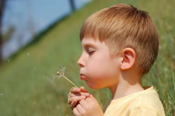 Boy blow dandelion on spring meadow — Stock Photo, Image