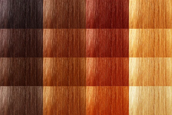 Zestaw odcień naturalny kolor włosów — Zdjęcie stockowe