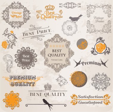 Vector Set: Calligraphic Design Elements and Page Decoration, Vi clipart