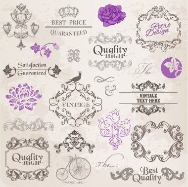 Vector Set: Calligraphic Design Elements and Page Decoration clipart