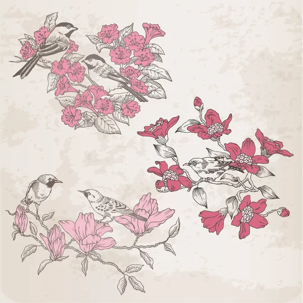 Ilustraciones retro - Flores y Aves - para el diseño en vector — Archivo Imágenes Vectoriales