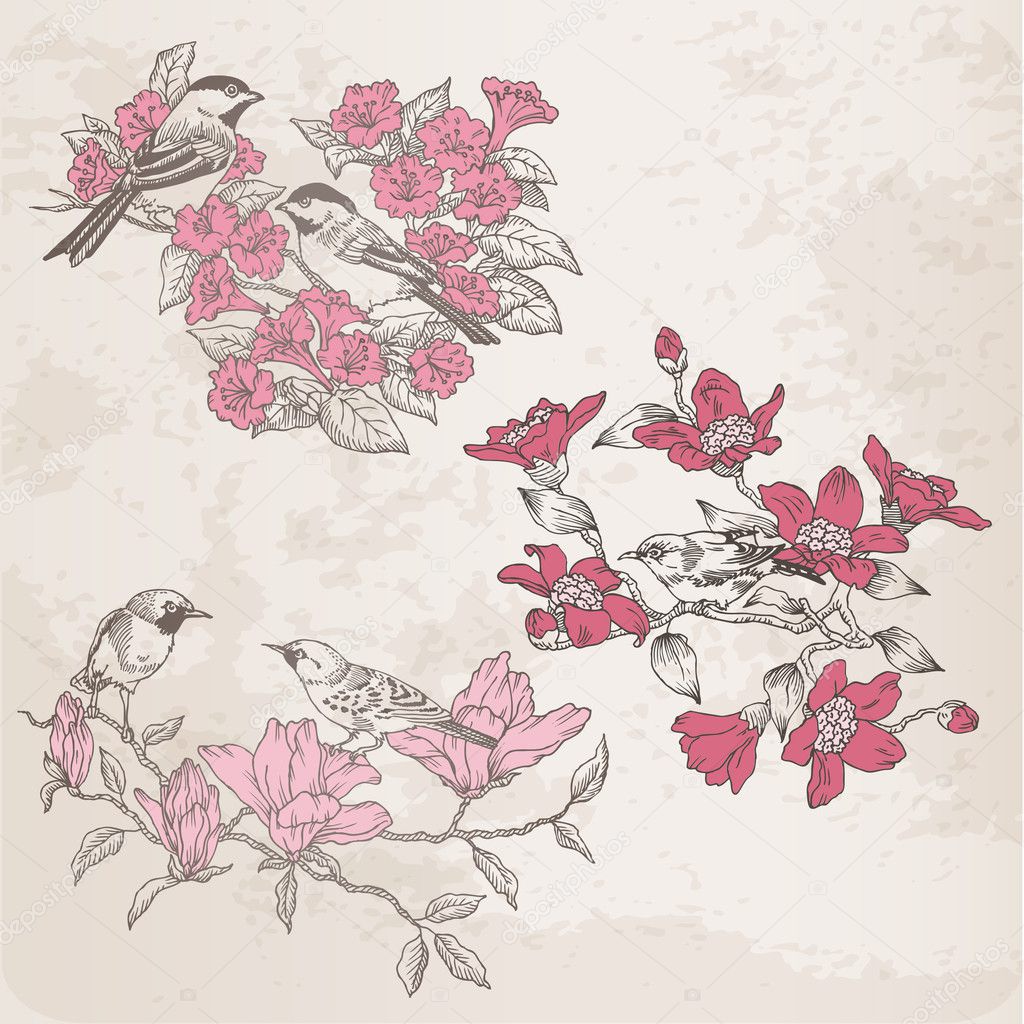 Retro Illustrations - Flowers and Birds - for design in vector