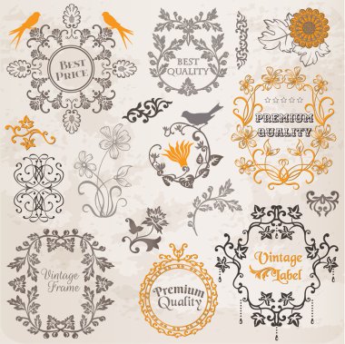 Vector Set: Calligraphic Design Elements and Page Decoration clipart