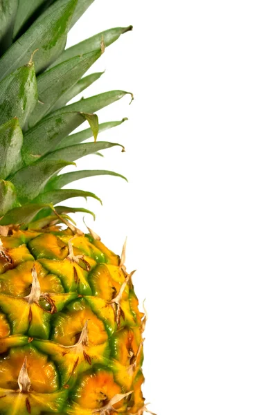 Pineapple cocktail - 5 — Stock Photo, Image