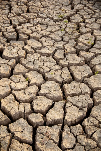 stock image Dry ground.