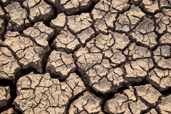 Dry ground. — Stock Photo, Image