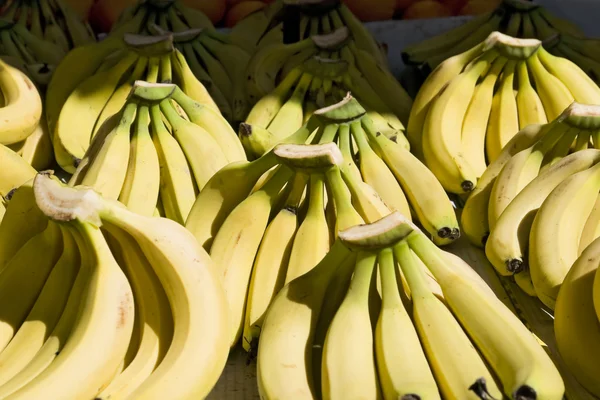 stock image Bananas background