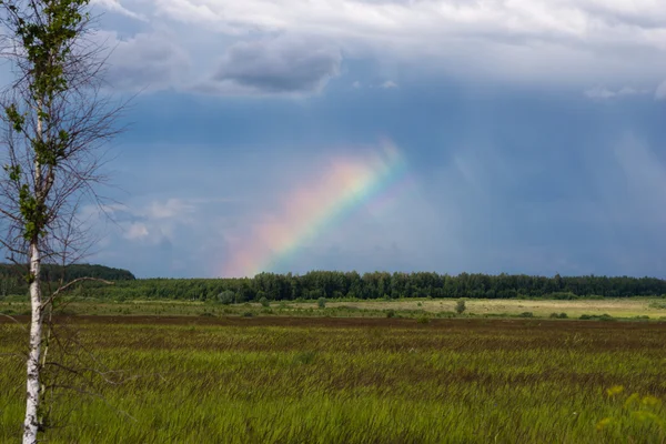 stock image Rainbow over a field