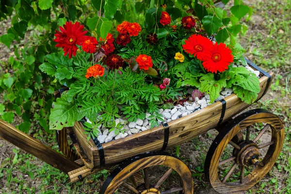 Carrinho de jardim velho com flores — Fotografia de Stock