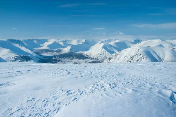 Гибинские горы зимой — стоковое фото