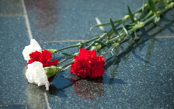 stock image Carnation on marble