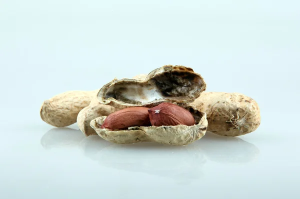 Erdnüsse in der Schale — Stockfoto