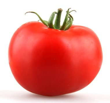 Tomato clipart