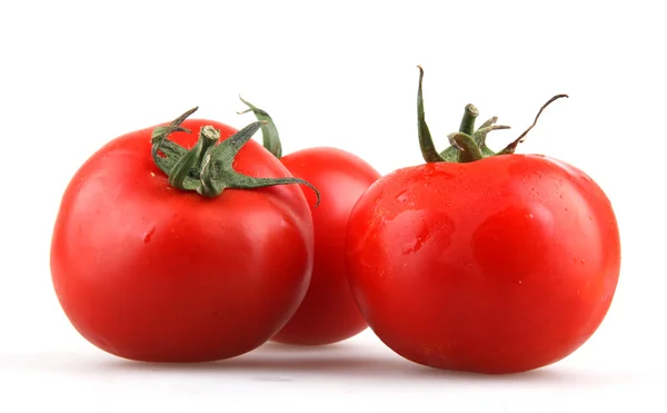 stock image Tomato