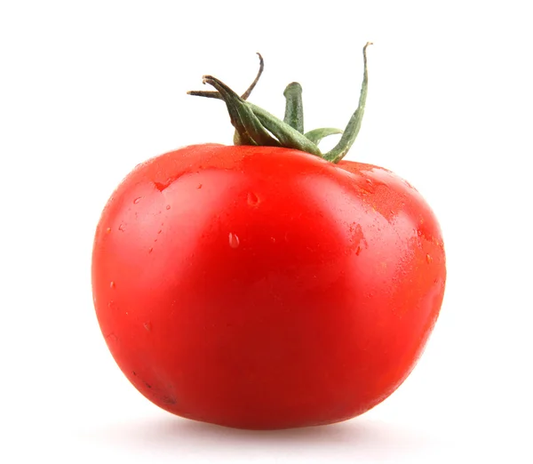 stock image Tomato