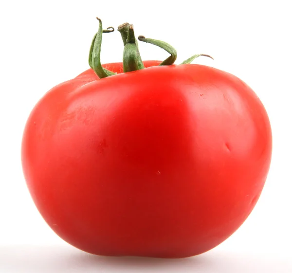 stock image Tomato