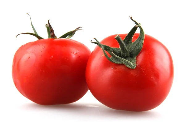 stock image Tomato