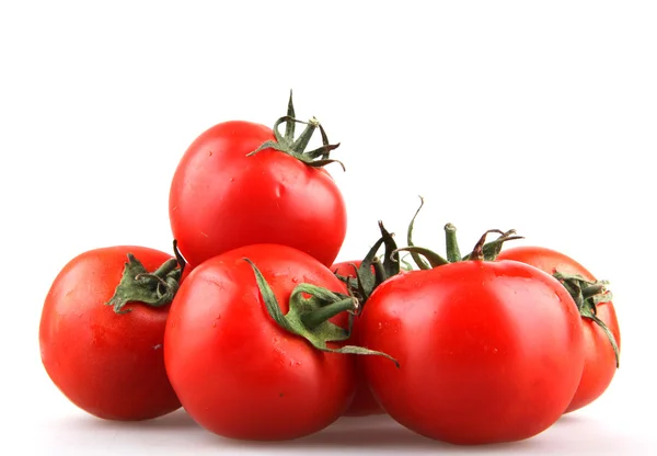 Tomat — Stockfoto