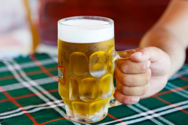 Beer - Color Image — Stock Photo, Image