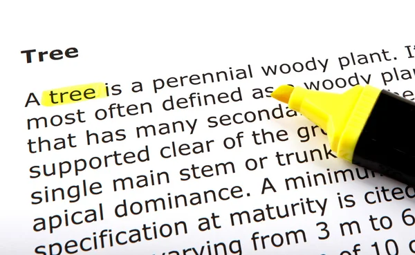 Text Highlighted Felt Tip Pen — Stock Photo, Image