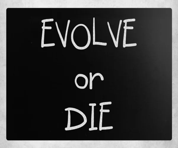 "Evolucionar o morir "escrito a mano con tiza blanca en una pizarra —  Fotos de Stock