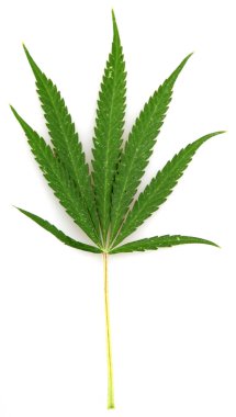 Cannabis clipart
