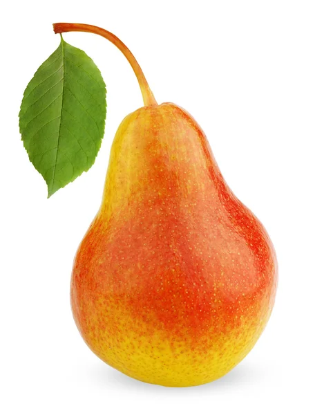Ripe red-yellow pear fruit with leaf — Stock Photo, Image