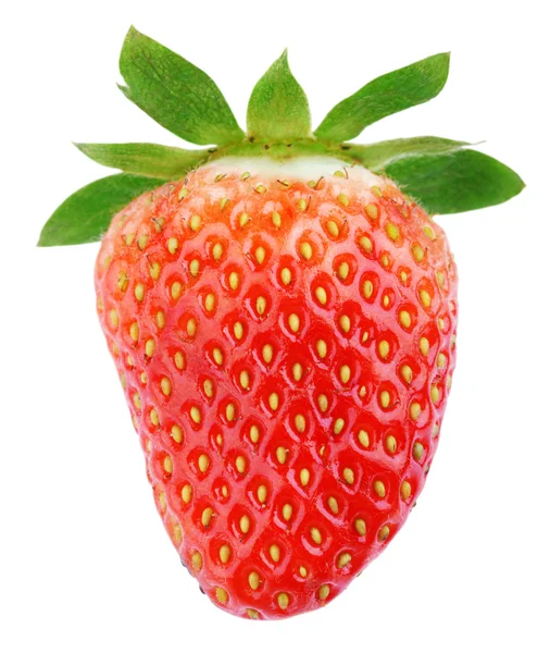 单个草莓果实 — 图库照片