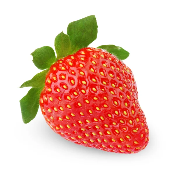 单个草莓果实 — 图库照片