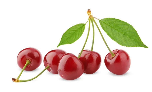 Sweet cherry bobulové ovoce — Stock fotografie