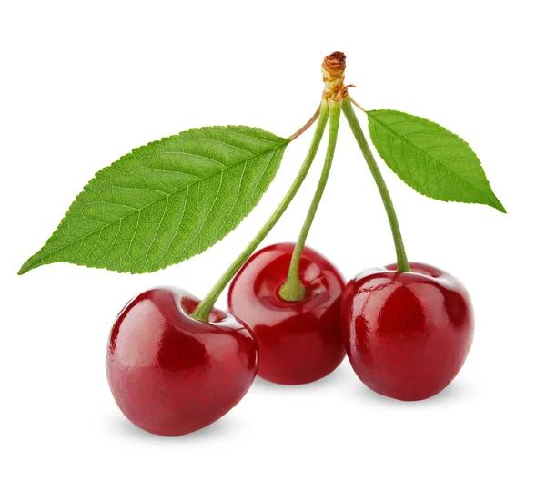 Three sweet cherries with leaves isolated on white — Stock Photo, Image