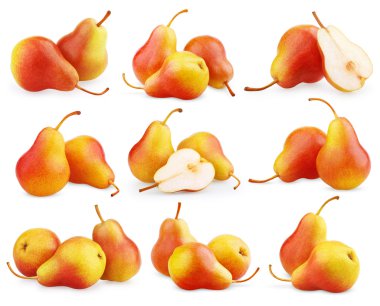 Set of red-yellow pear fruits clipart