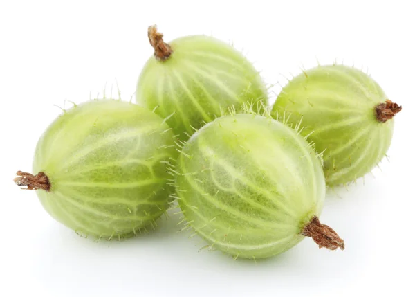 Fruto de grosella verde sobre blanco — Foto de Stock
