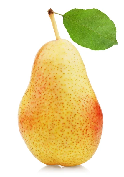 Φρούτα ώριμα κόκκινο κίτρινο αχλάδι με φύλλο — Φωτογραφία Αρχείου