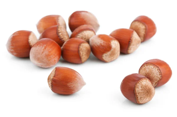 FILBERTNÖT nötter isolerad på vit — Stockfoto