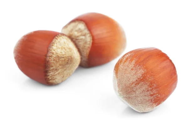 Nueces filberts aislados en blanco —  Fotos de Stock