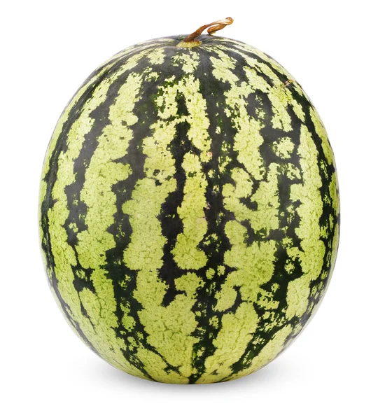 Söt vattenmelon bär på vit — Stockfoto