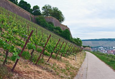 bağ. Germany.wurzbyrg