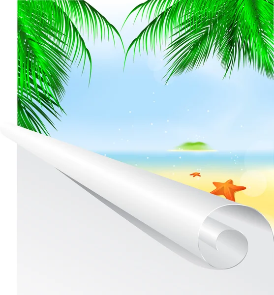 Playa de palma de verano — Vector de stock