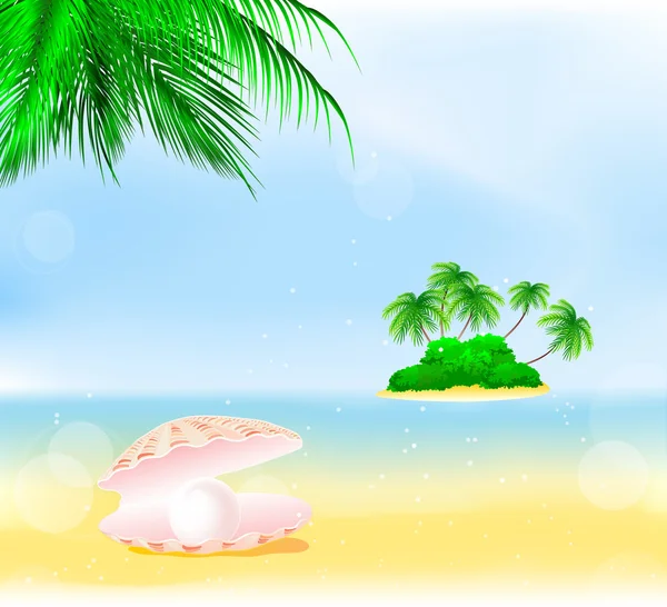 Summer palm beach — Stock Vector