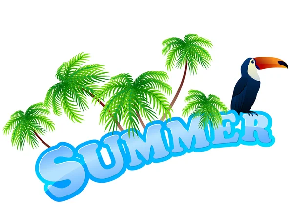 夏天标志与 toukan — 图库矢量图片