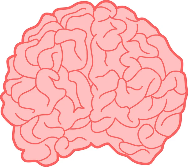 Menschliches Gehirn — Stockvektor