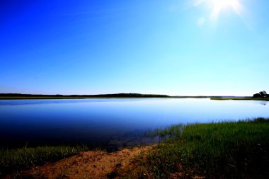 Calm marsh HDR clipart