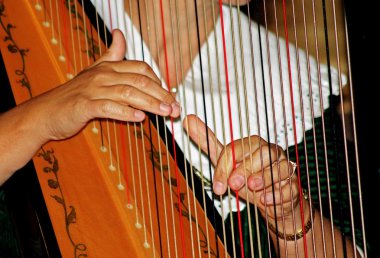 Playing the harp clipart