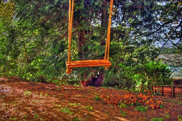 Swinging — Stock Photo, Image