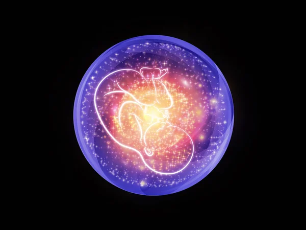 Sphères du foetus — Photo