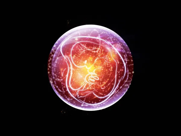 胎児の球 — ストック写真