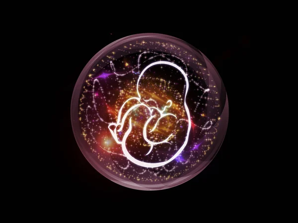 El reino del feto — Foto de Stock