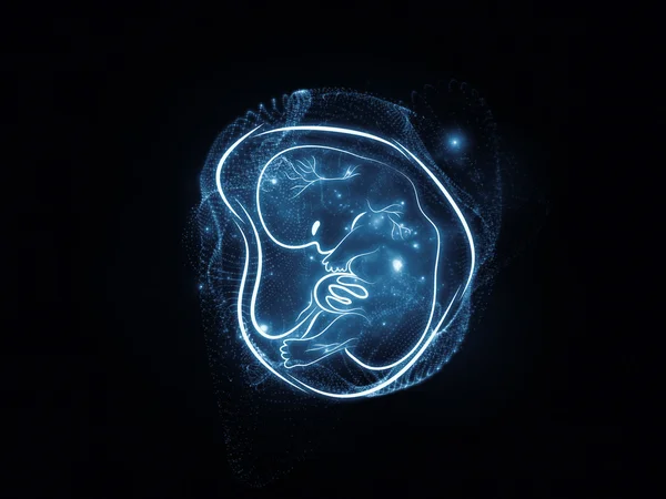 Gelişmekte olan fetus — Stok fotoğraf