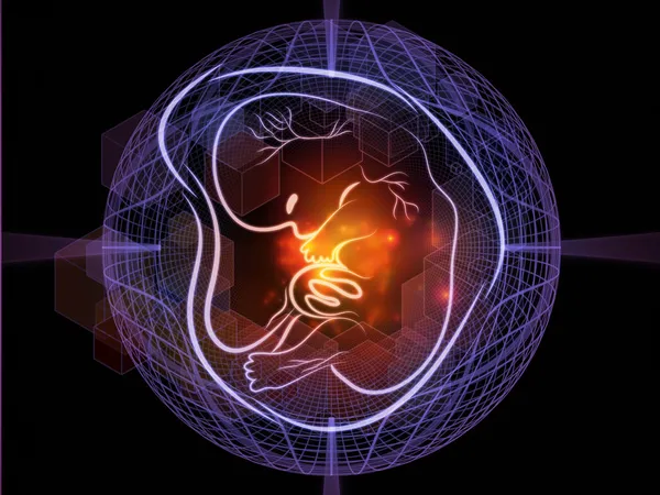 胎児のグロー — ストック写真